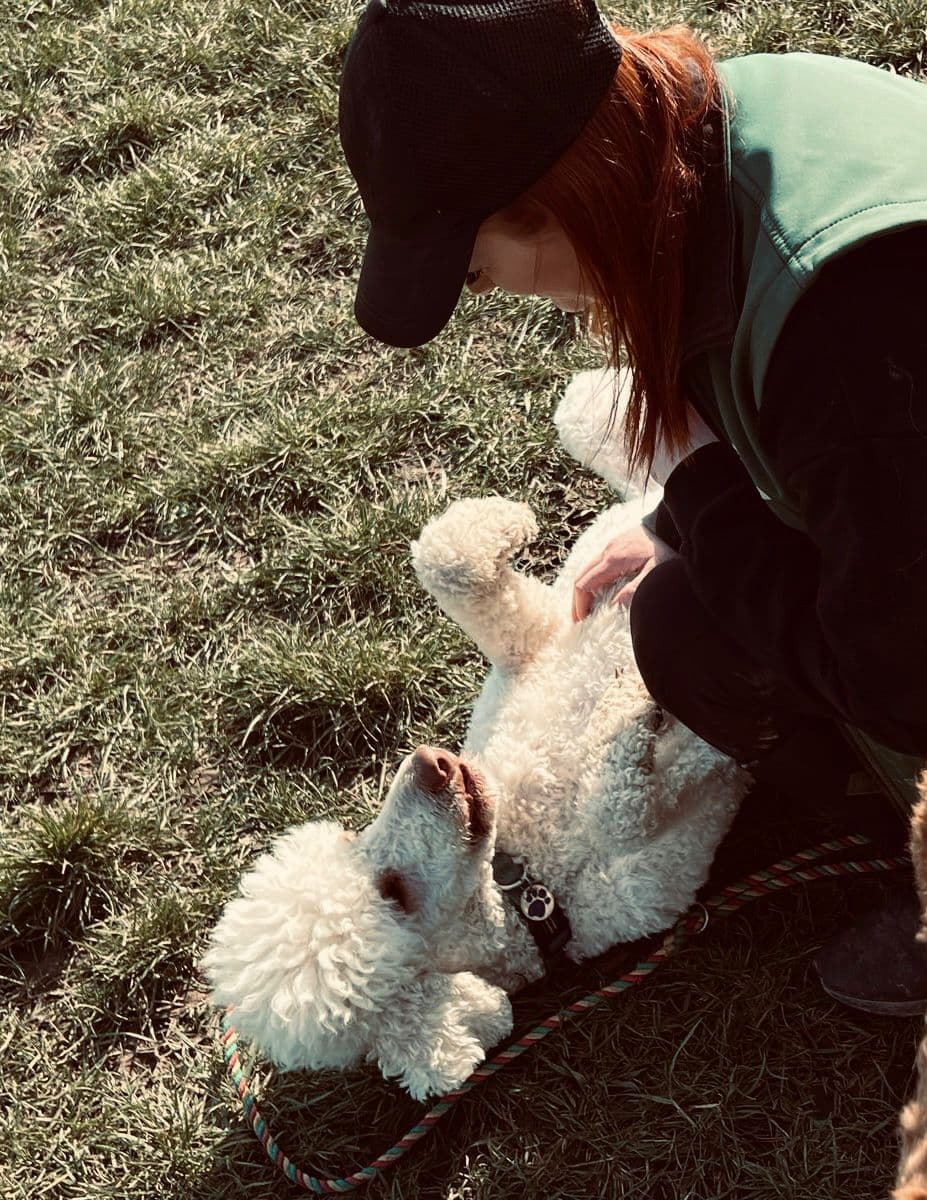 Dog-Friendly Rayleigh: The Complete Guide