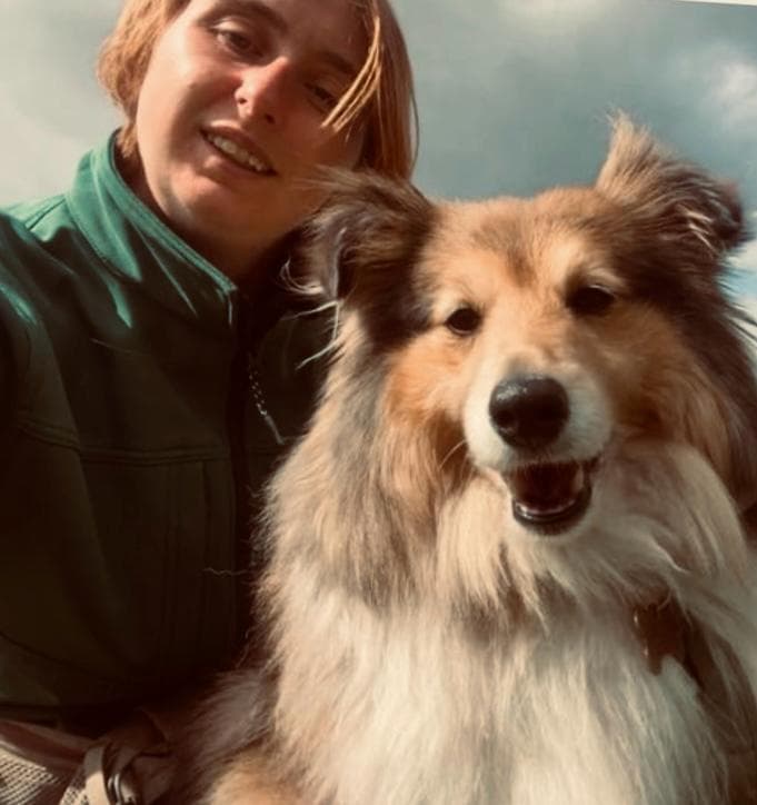 Day Care Vaccination Requirements: What Your Dog Needs