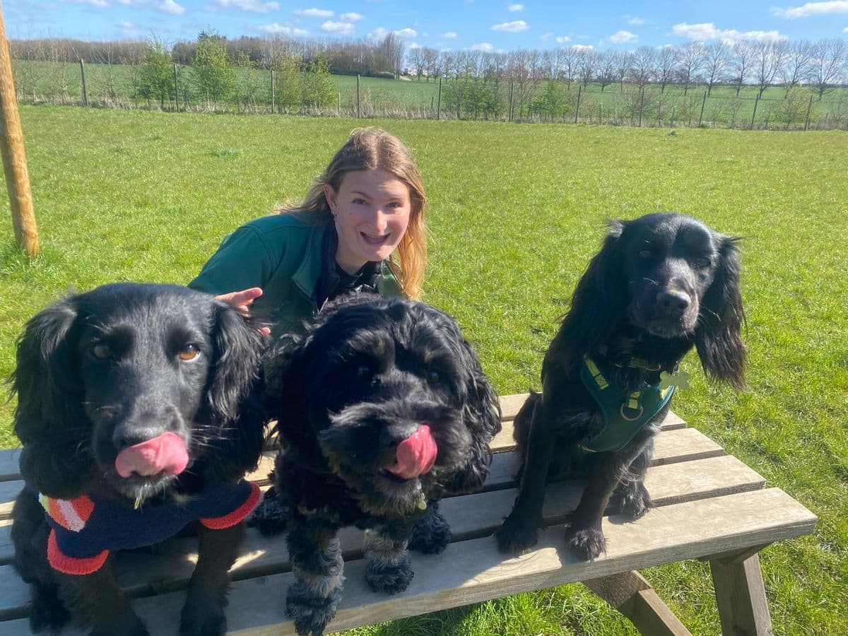 Moving House with a Dog: How to Reduce Stress for Everyone