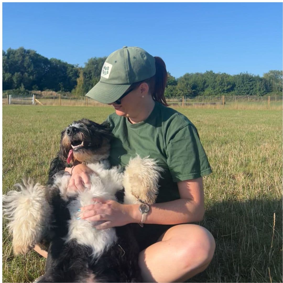 Signs Your Dog Is Ready for Day Care (And Signs They're Not)