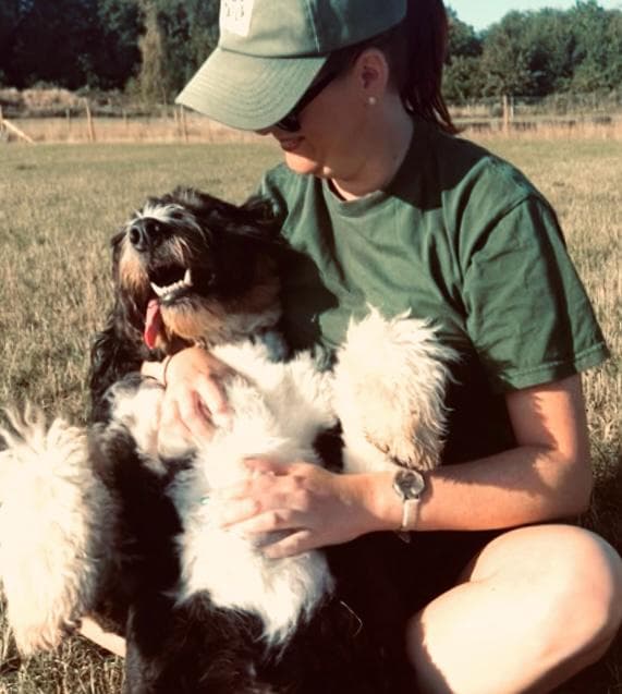 How Doggy Day Care Helps Working Dog Owners in Essex