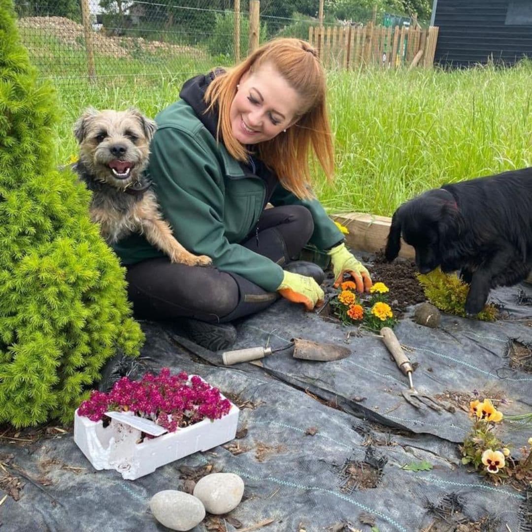 Dog-Friendly Days Out in Essex: The Best Places to Visit