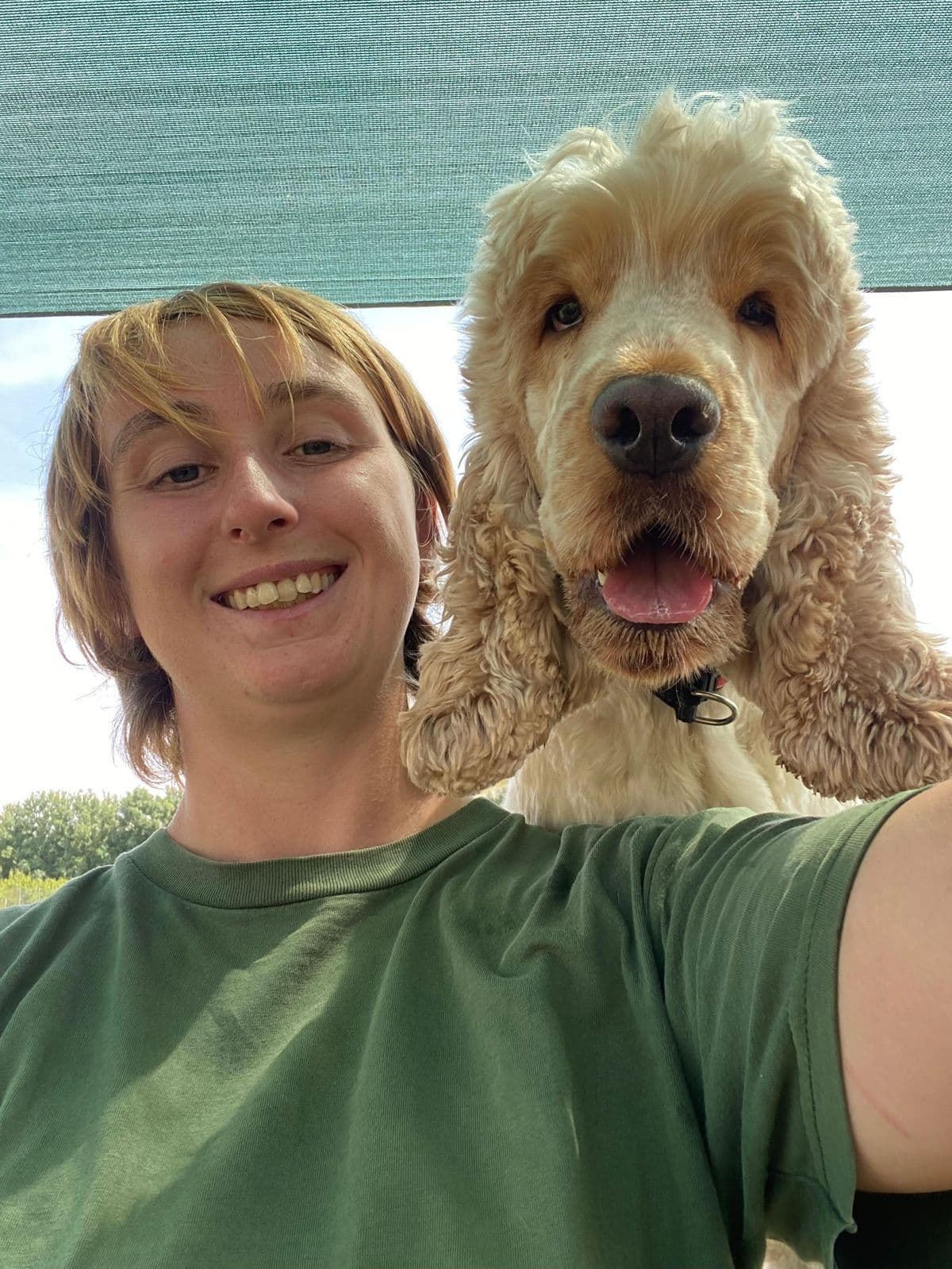 Getting a New Puppy? The Complete Essex Owner's Checklist