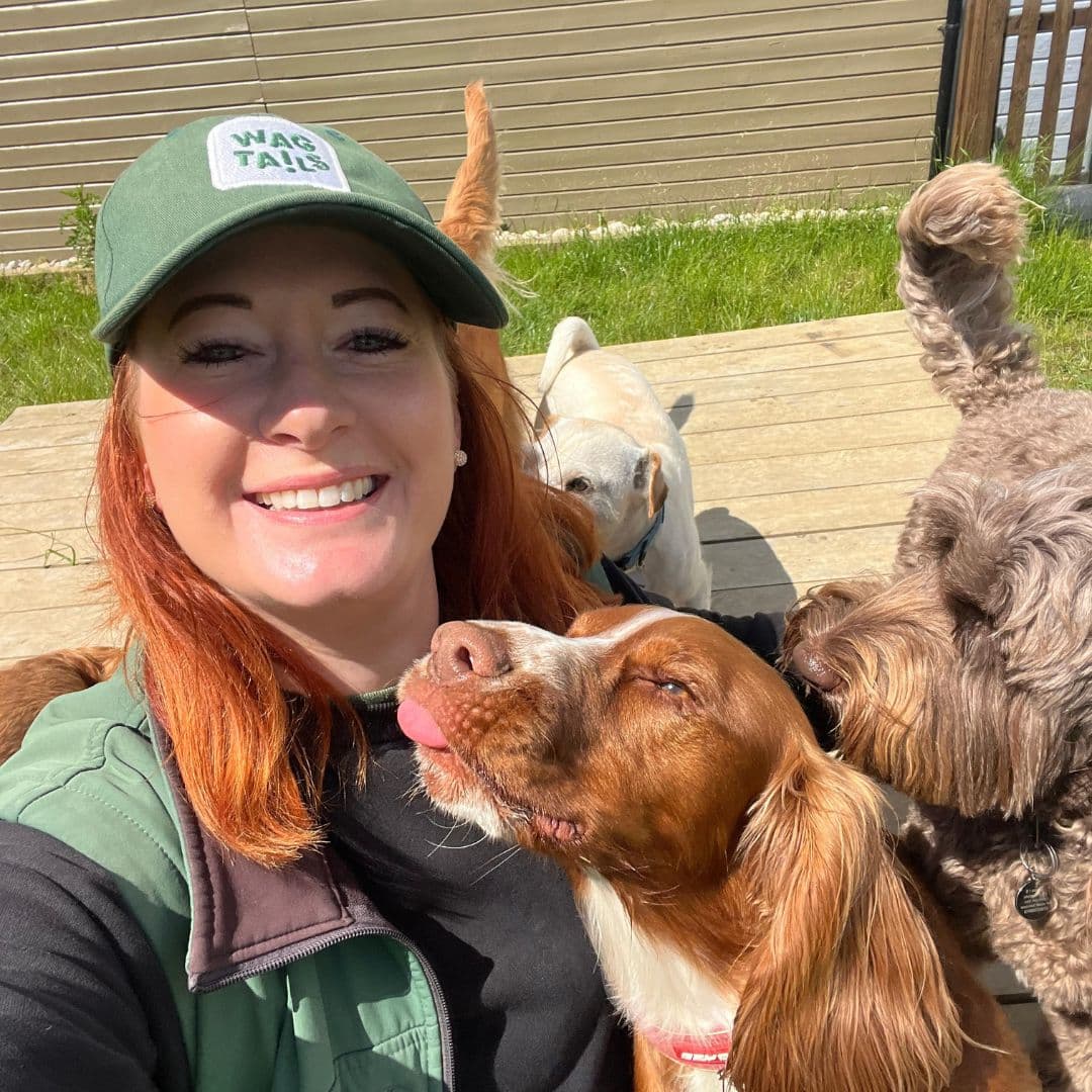 How to Choose a Dog Walker in Essex: The Complete Checklist