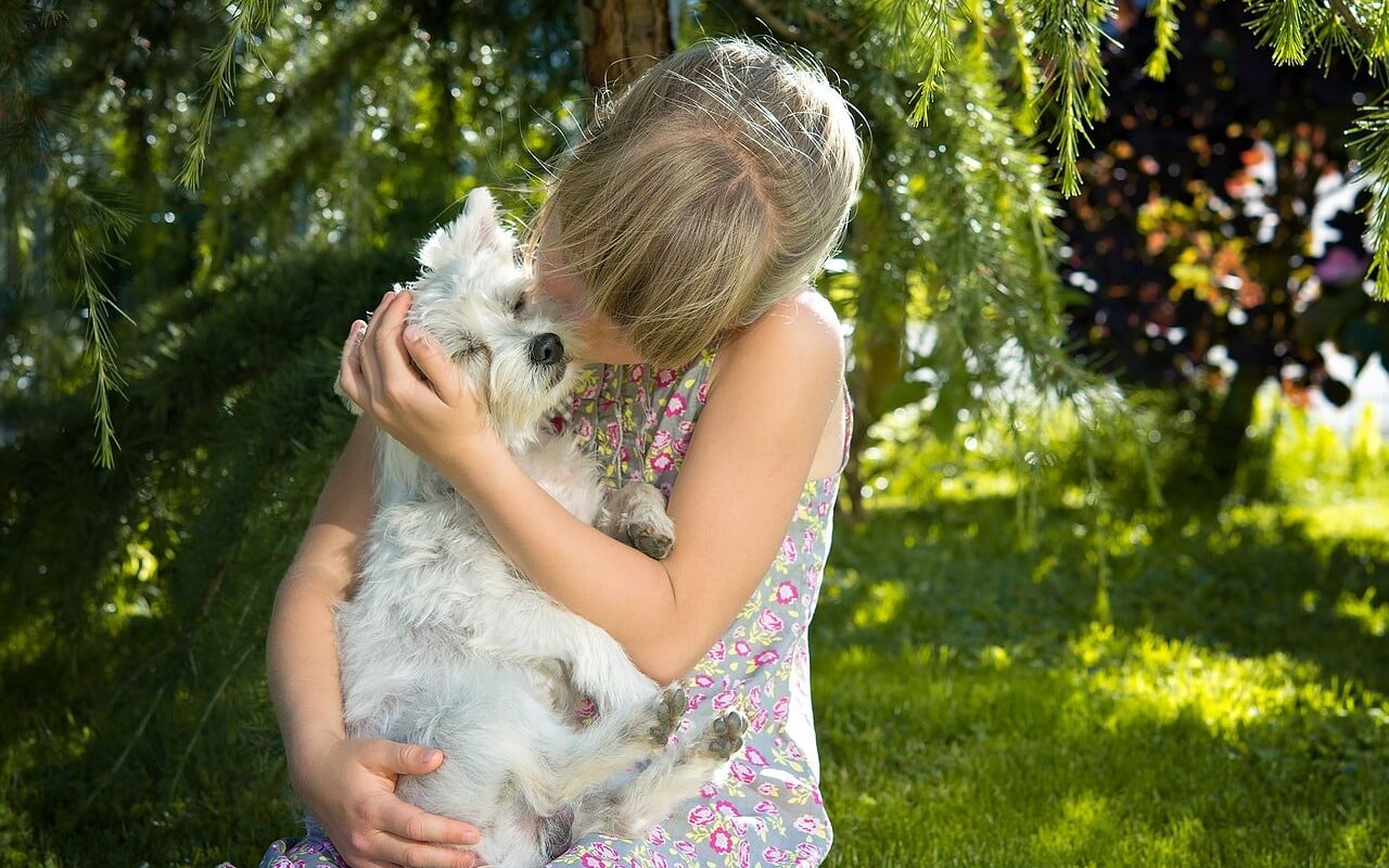 small dog breeds - a young girl hugging a small dog