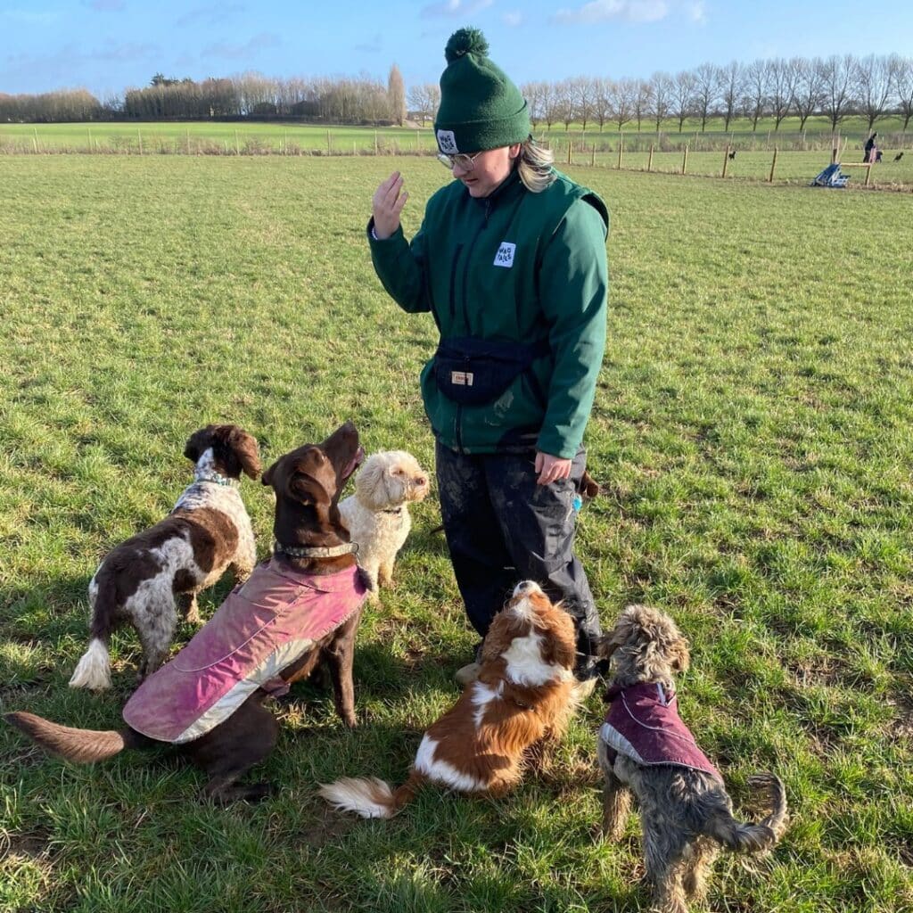 doggy day care in Danbury - our day care staff Molly training some of the dogs outside the field