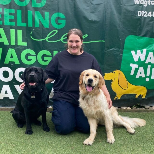 Congratulations to our wonderful volunteer, Maggie, on making a career change and securing an awesome new job as a dog trainer! 🎉🐾

#DoggyDaycare #DogFriendlyEssex #EssexDogLovers #DogsOfEssex #PuppyLoveEssex
